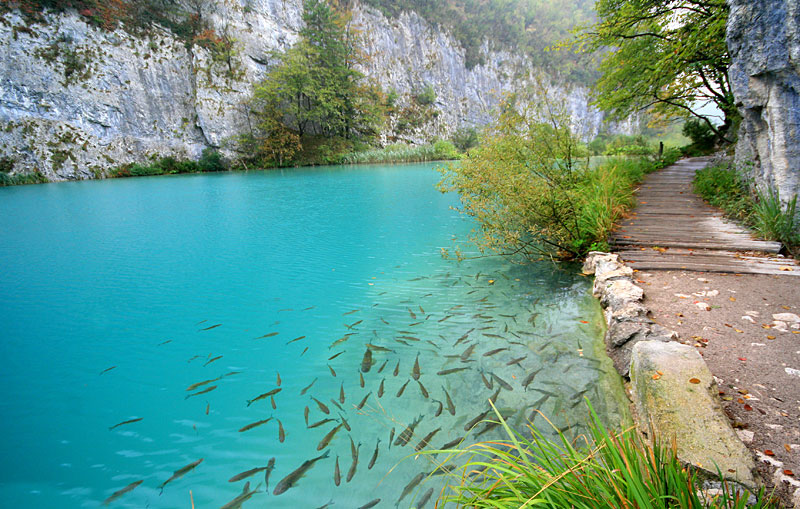 Plitvice -Jesen rana 2006