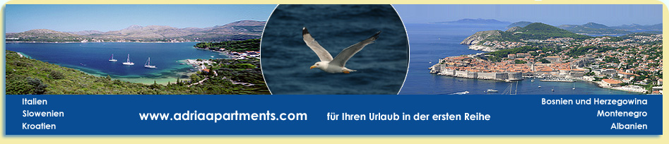 portal za DIREKTNU promidzbu